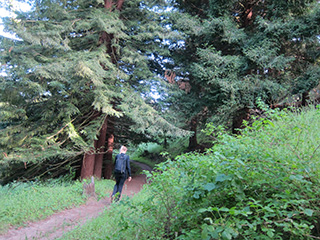 Tilden Regional park hiking